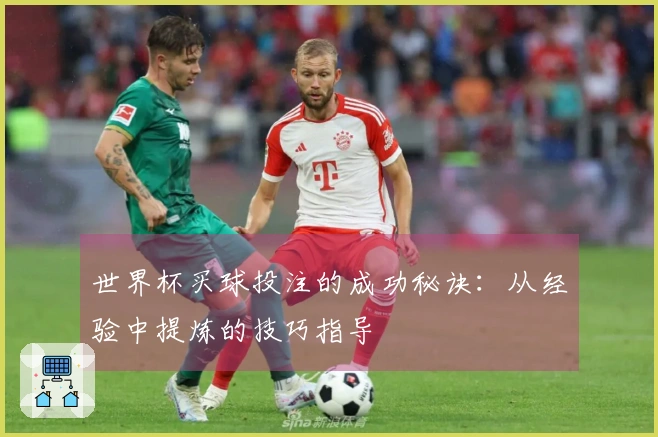 世界杯买球投注的成功秘诀：从经验中提炼的技巧指导