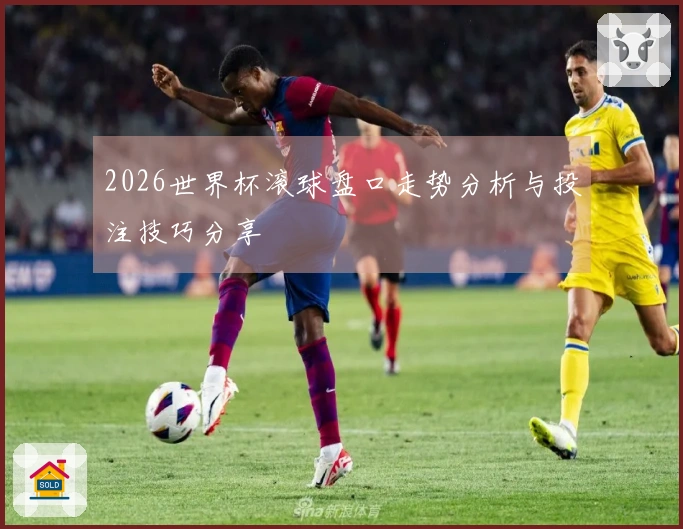 2026世界杯滚球盘口走势分析与投注技巧分享