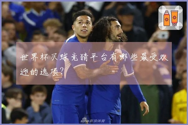 世界杯买球竞猜平台有哪些最受欢迎的选项？