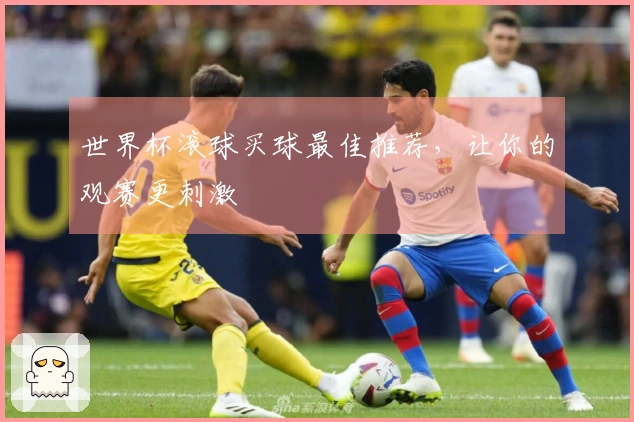 世界杯滚球买球最佳推荐，让你的观赛更刺激