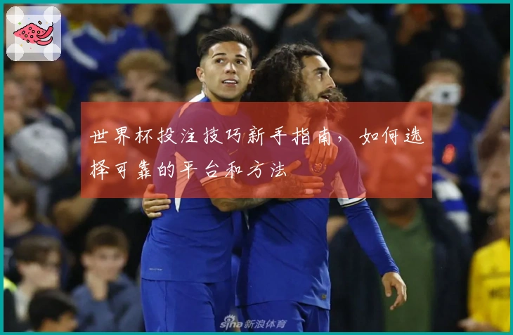 世界杯投注技巧新手指南，如何选择可靠的平台和方法